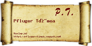 Pfluger Tímea névjegykártya
